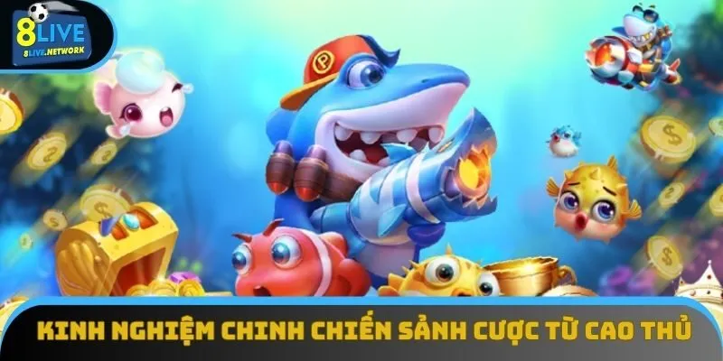 Kinh nghiệm chinh chiến sảnh cược từ cao thủ