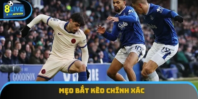 Mẹo bắt kèo chính xác theo chuyên gia