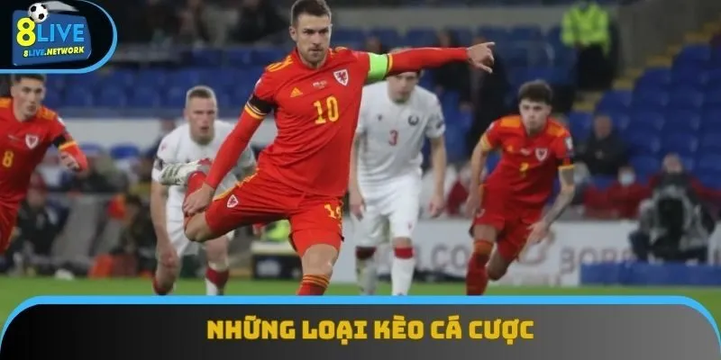 Những loại kèo cá cược được yêu thích nhất Những loại kèo cá cược được yêu thích nhất