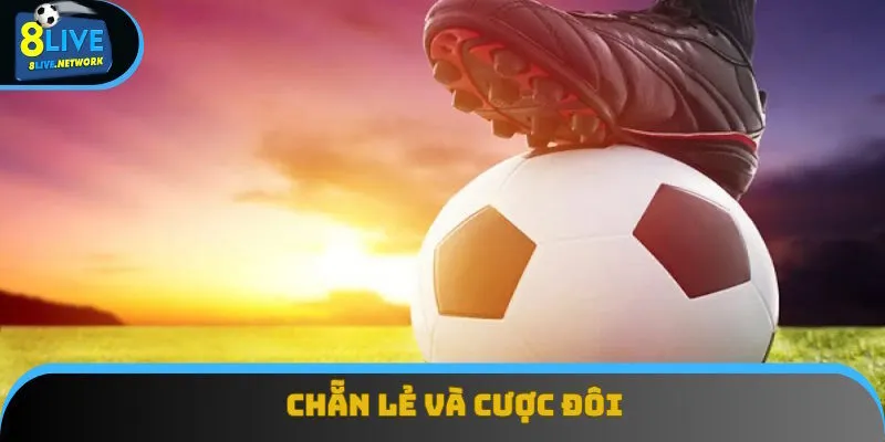 Vào tiền theo phiên bản chẵn/lẻ hoặc kép